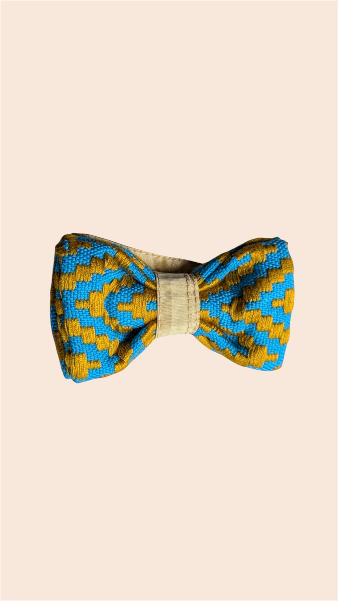 noeud papillon jaune et bleu
